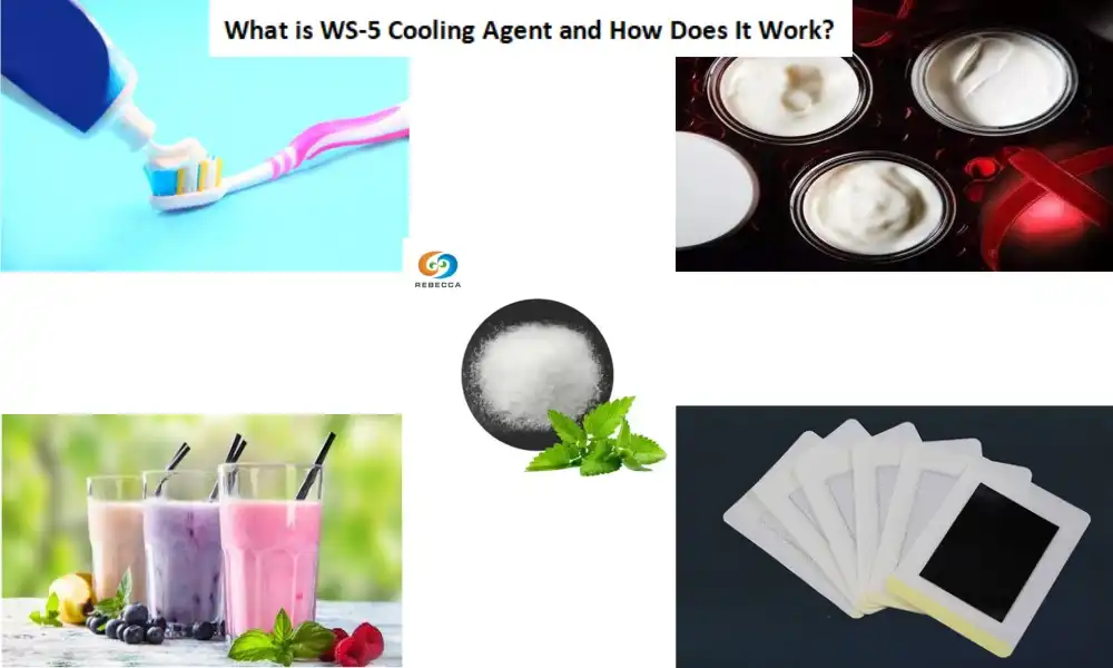 What is WS-5 Cooling Agent and How Does It Work?